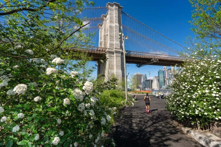 The History of the Brooklyn Bridge & Guided Walk – July 8