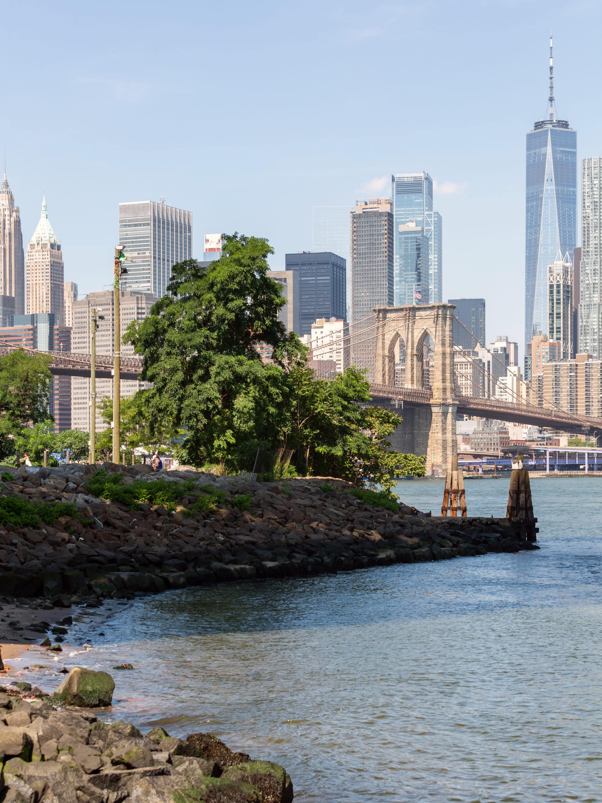 MintHighball review photo 7