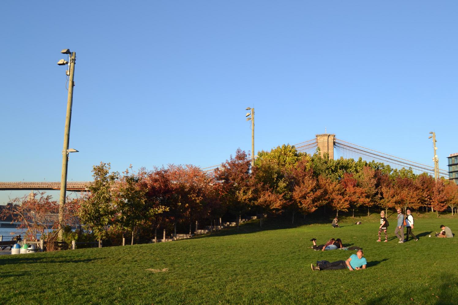 People lying on a lawn with autumn trees in the background on a sunny day.