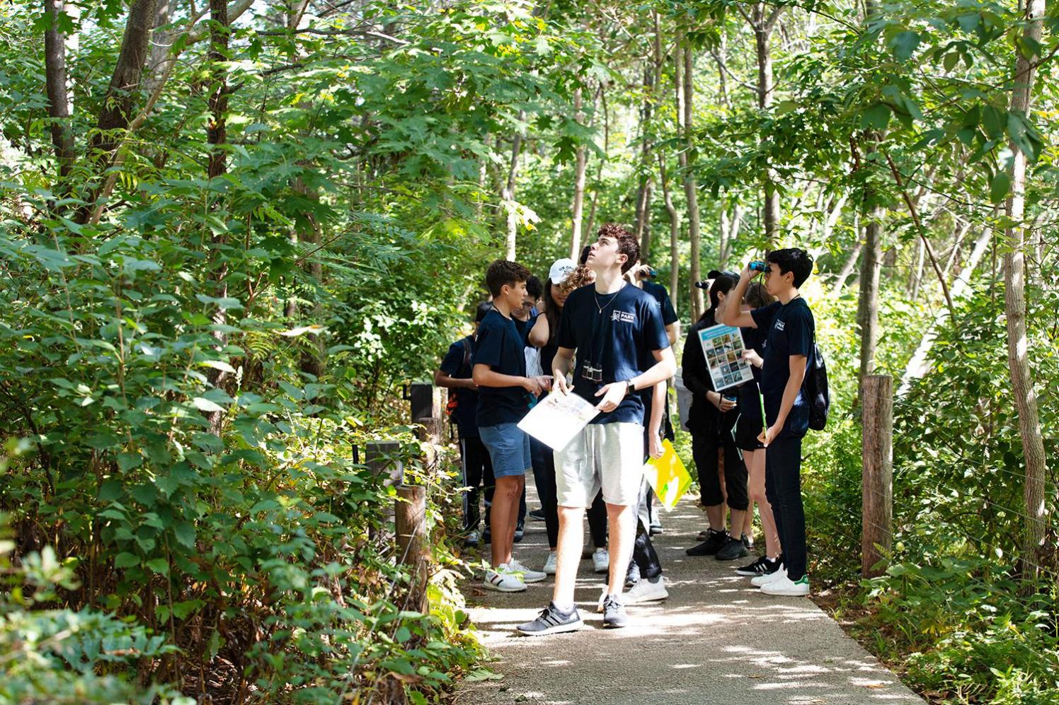 Teens on a tree lined pathway looking for birds on a sunny day.