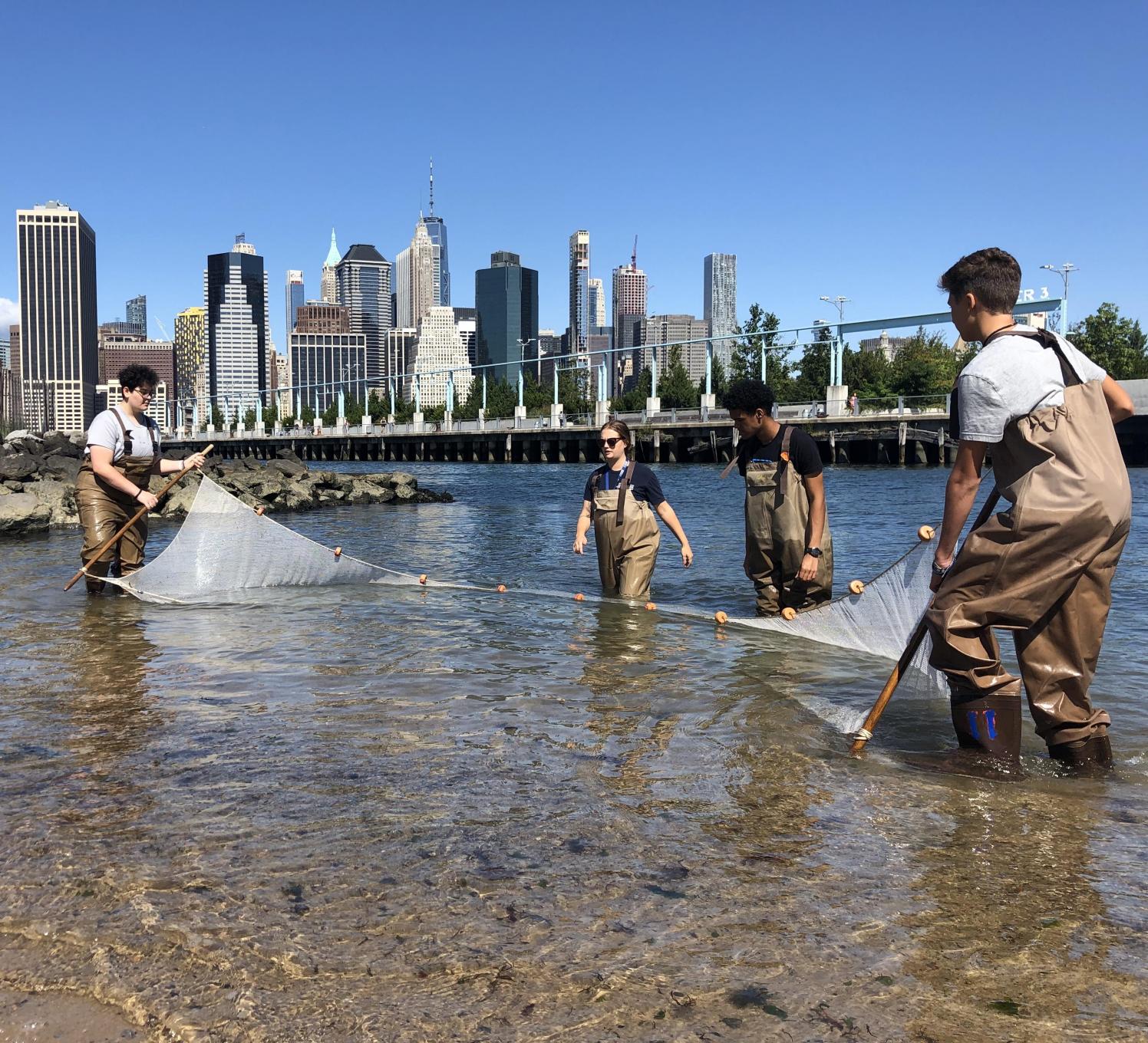 Teens in waders using a seine net in the water on a sunny day.