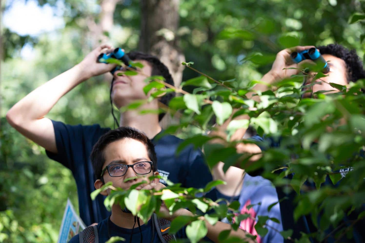 Teens using binoculars to look for birds surrounded by trees.