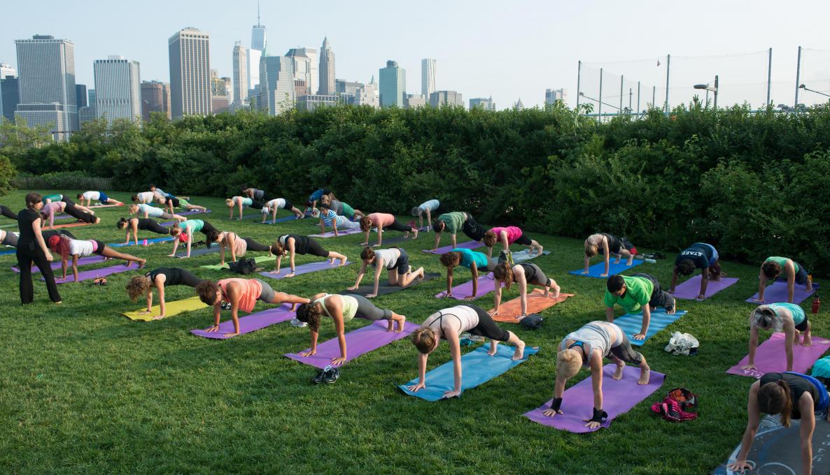 People doing a plank pose on yoga mats at sunset.