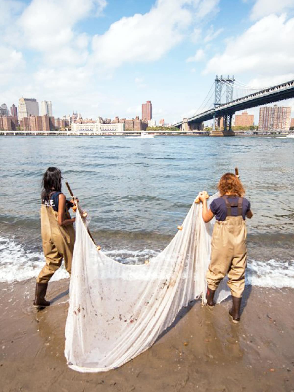 Two women in fishing waders walking into the water with a large net for seine fishing on a sunny day. Lower Manhattan is seen in the distance.