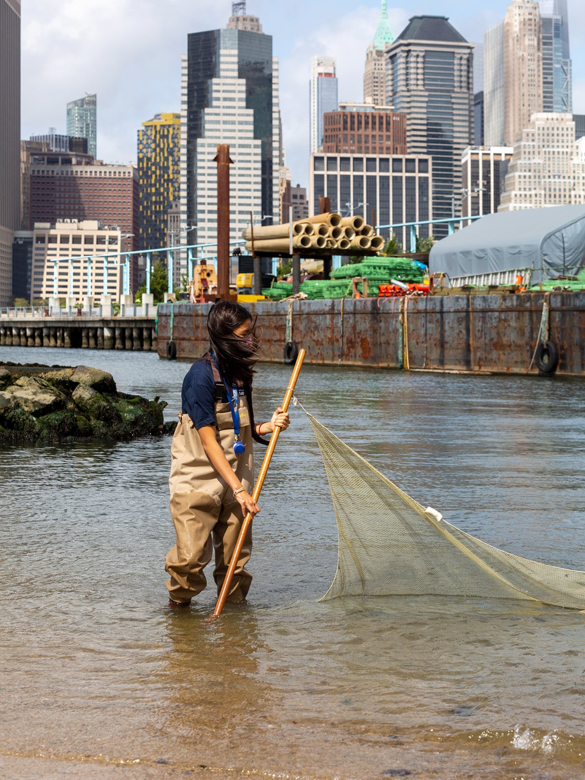 Woman in fishing waders placing seine fishing net in the water on a sunny day. Construction barge and lower Manhattan are seen in the background.