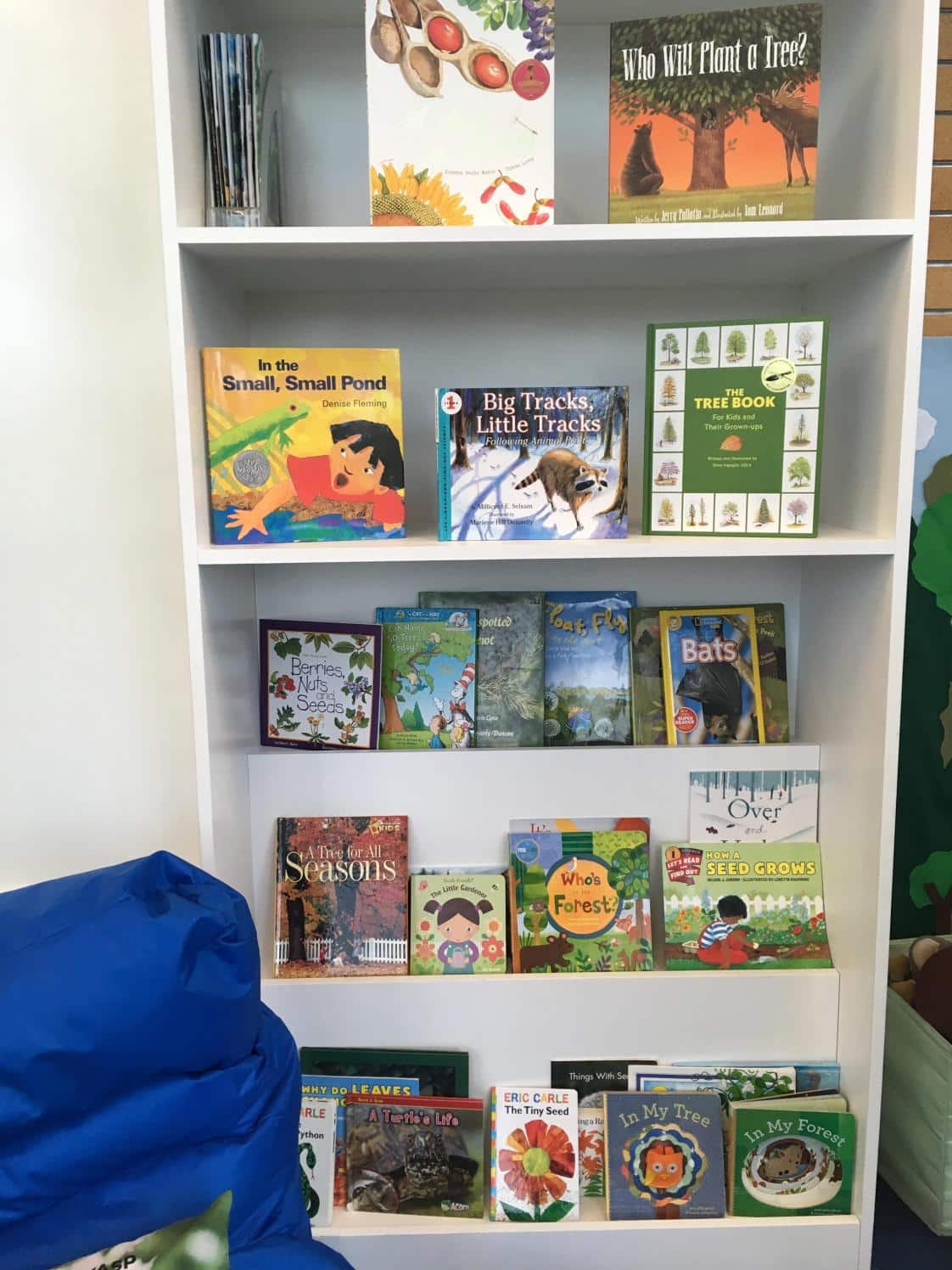 Bookshelf with childrens picture books about the woods.